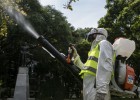 Argentina admite que lo peor de la epidemia de dengue está por llegar Argentina admite que lo peor de la epidemia de dengue está por llegar