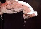 “El sistema de Aguas del DF es un enfermo en terapia intensiva” “El sistema de Aguas del DF es un enfermo en terapia intensiva”