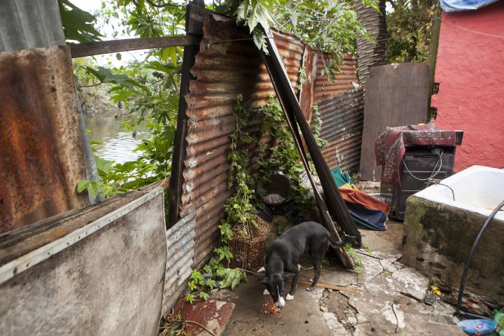 Algunas casillas de la 21-24 están a metros del agua contaminada. Algunas casillas de la 21-24 están a metros del agua contaminada.