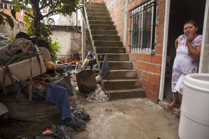 Mary pidió que le poden las plantas y fumiguen su casa, pero no tuvo respuestas. Mary pidió que le poden las plantas y fumiguen su casa, pero no tuvo respuestas.
