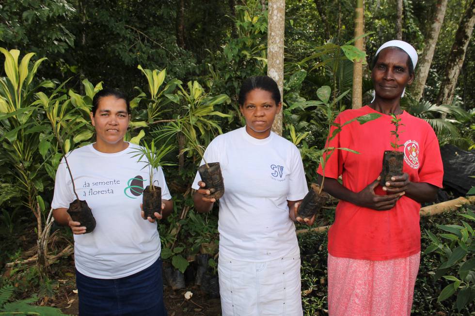 Mujeres trabajan en la recuperación de bosques en el interior de Sao Paulo.