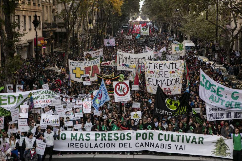 Argentina marcha pela regularização da maconha medicinal