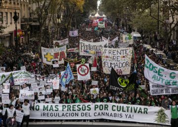 Argentina marcha pela regularização da maconha medicinal