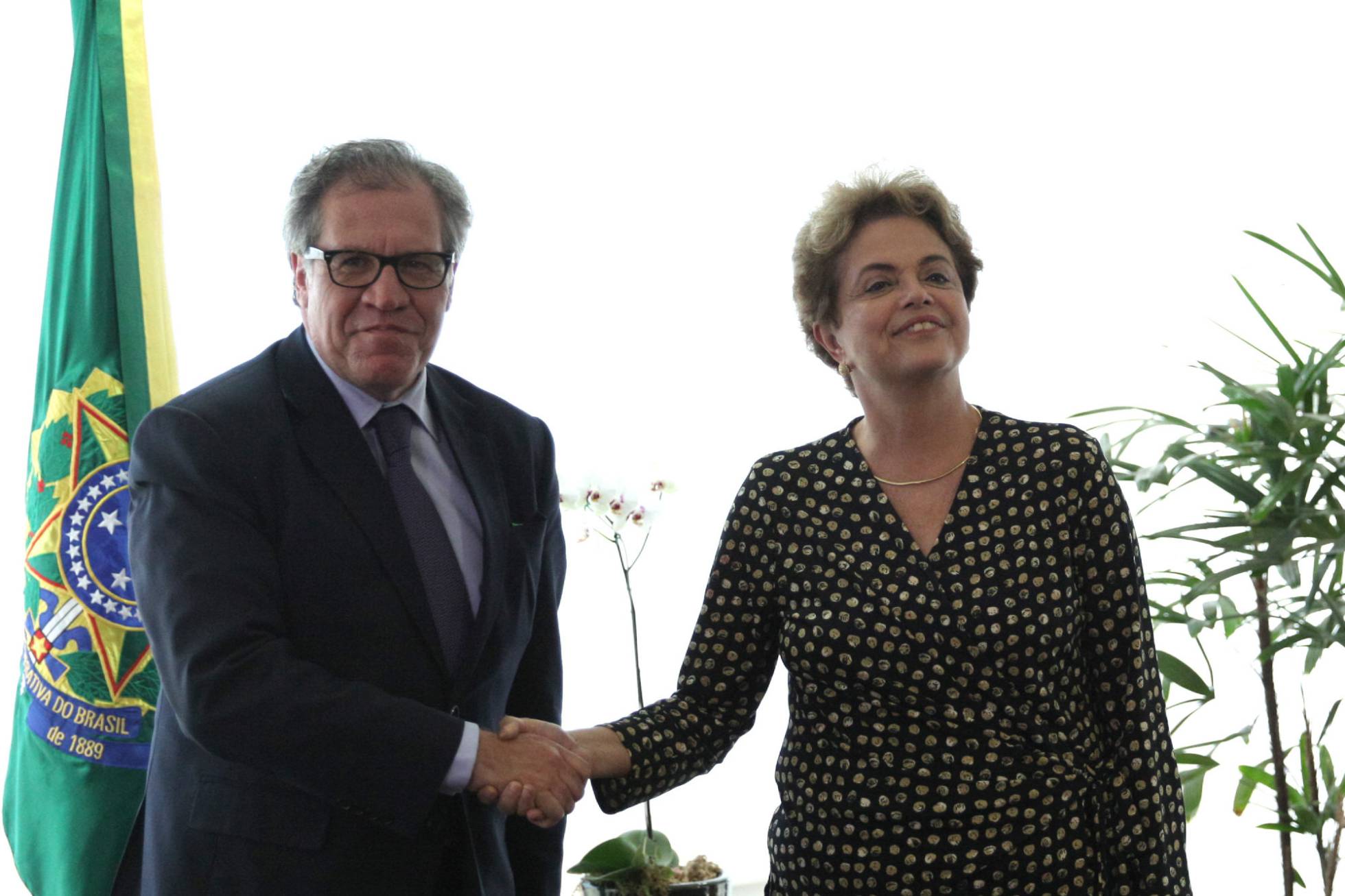 Dilma Rousseff e o secretário geral da (OEA) Luis Almagro. Dilma Rousseff e o secretário geral da (OEA) Luis Almagro.