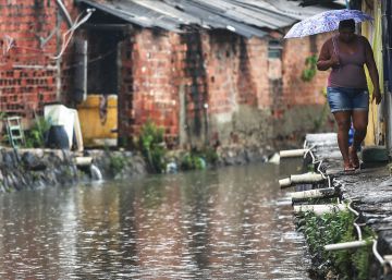 OMS ‘receita’ dois meses sem sexo ou fazê-lo com proteção ao retornar de áreas com Zika