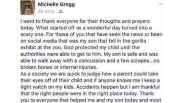 La madre del niño que cayó al foso del gorila Harambe, acosada en las redes