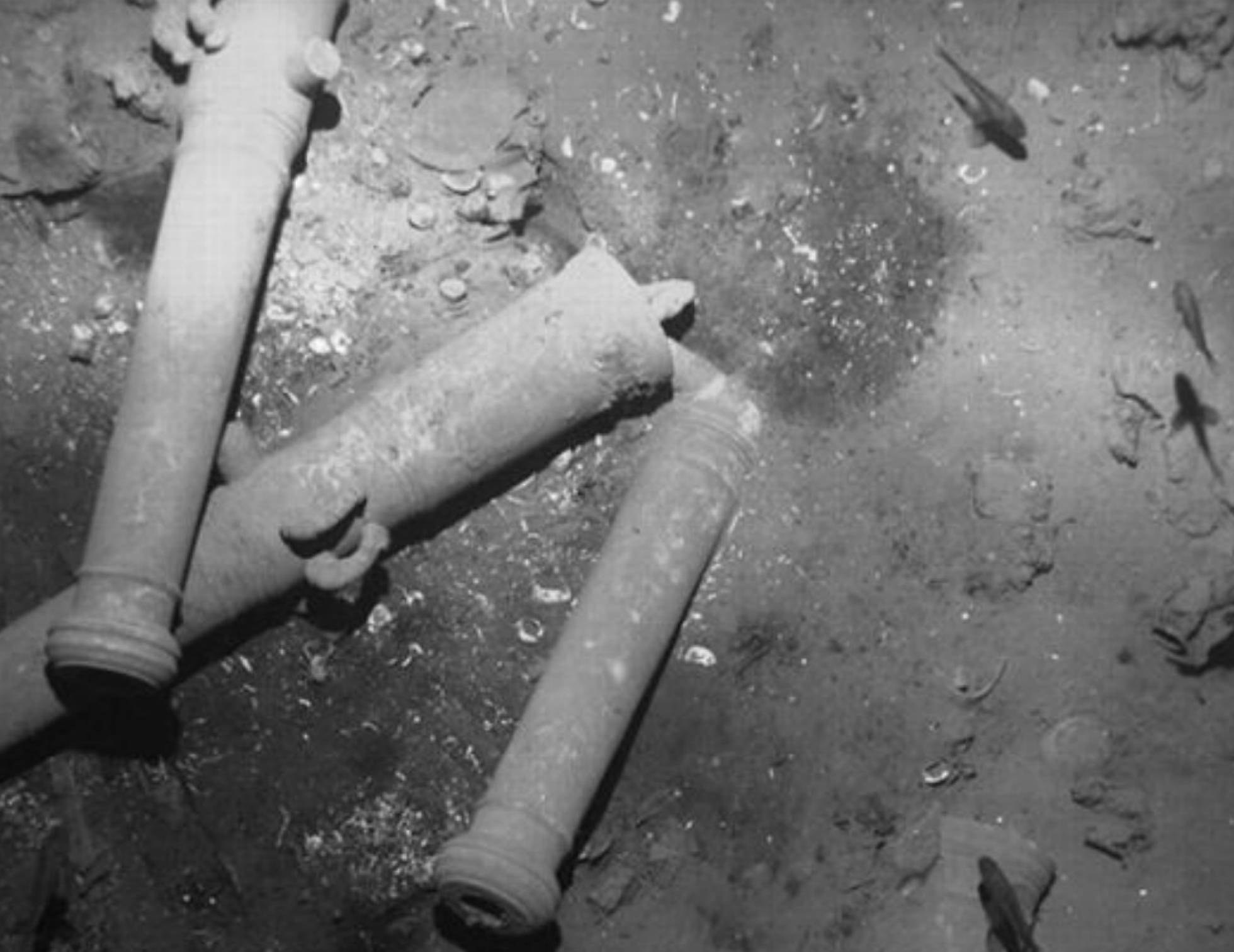 Imágenes de restos de cañones del galeón 'San José' en el fondo del mar Caribe.