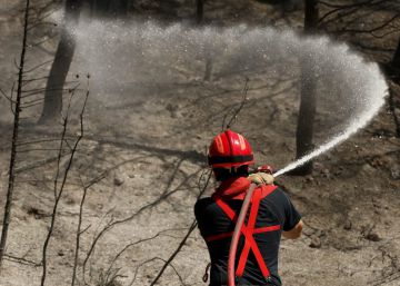 Las llamas calcinan 3.000 hectáreas en el sur de Francia Las llamas calcinan 3.000 hectáreas en el sur de Francia
