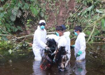 Quinto vazamento de petróleo do ano pinta de preto a Amazônia peruana