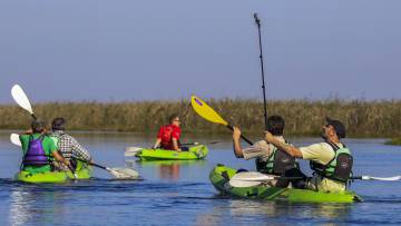 Recorrido en kayak por el arroyo Carambola, en los Esteros del Iberá.