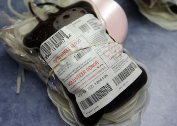 EUA recomendam analisar o sangue doado para evitar vírus do zika EUA recomendam analisar o sangue doado para evitar vírus do zika