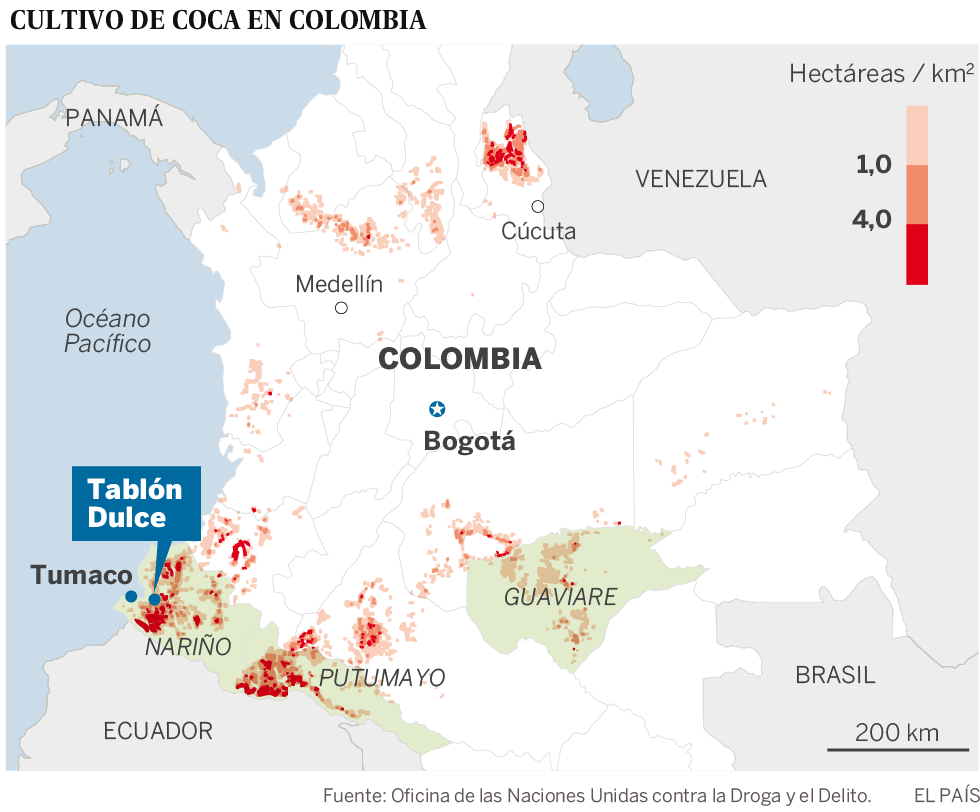 La coca, el gran negocio a erradicar en Colombia