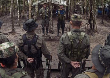La vida después de dejar las armas La vida después de dejar las armas