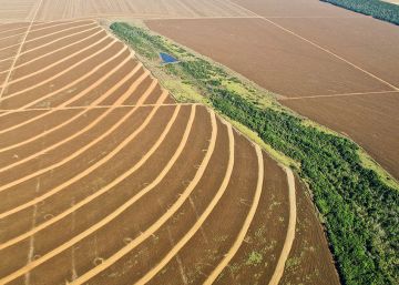 La Amazonía: color verde esperanza para enfrentar la crisis La Amazonía: color verde esperanza para enfrentar la crisis