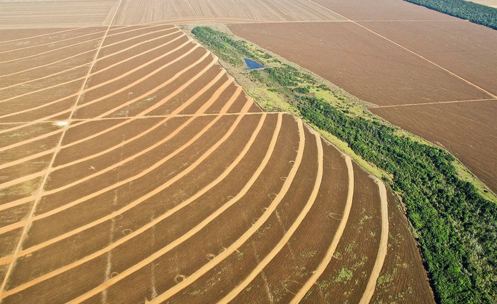 Campos de cultivo en Mato Grosso, Brasil. Campos de cultivo en Mato Grosso, Brasil.