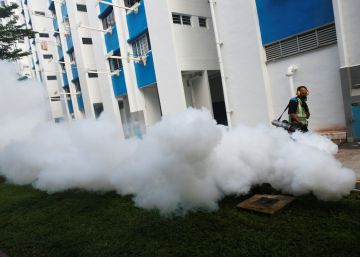 El zika se expande por el sureste asiático El zika se expande por el sureste asiático