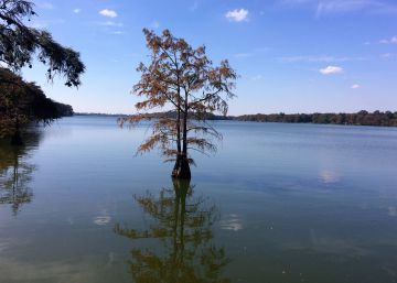 El lago que divide el lugar más desigual de Estados Unidos