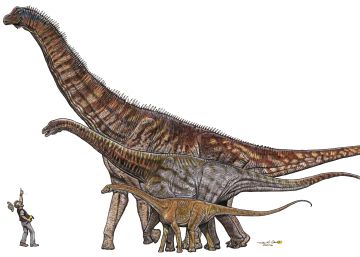 Brasil descubre su propio dinosaurio gigante