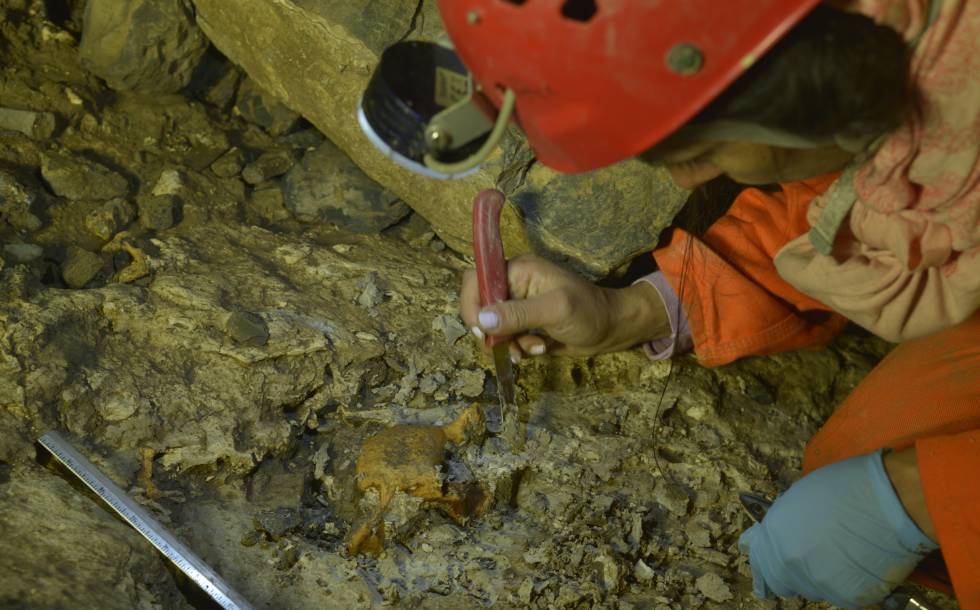 Descubren un cementerio fósil en una caverna de Colombia