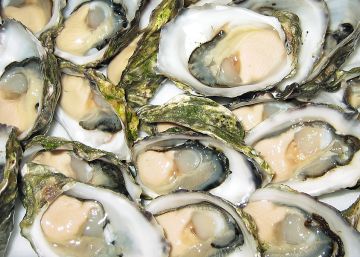 Las ostras dejan de ser un lujo en Portugal