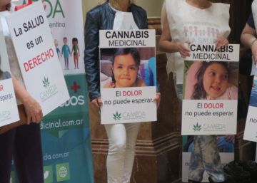Lei que autoriza uso medicinal da maconha avança na Argentina
