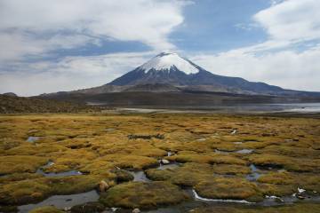 El lago Chungará, con el volcán Parinacota al fondo.