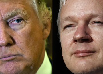 Los gemelos Trump y Assange Los gemelos Trump y Assange