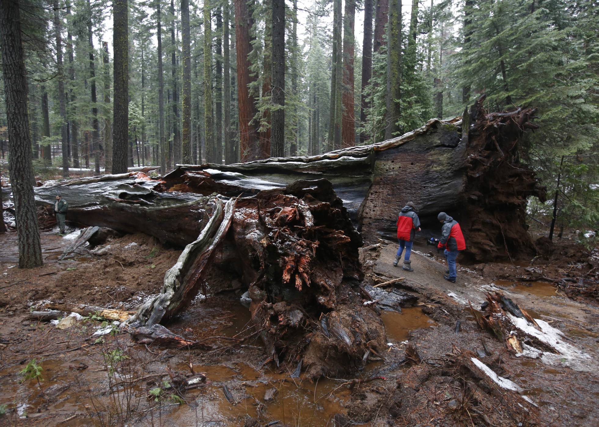 Adiós a un símbolo del turismo californiano Adiós a un símbolo del turismo californiano