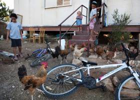 La ambivalente respuesta de Trump a la acelerada expansión de colonias judías La ambivalente respuesta de Trump a la acelerada expansión de colonias judías