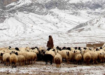 Al menos 108 muertos por aludes tras el temporal de nieve en Afganistán Al menos 108 muertos por aludes tras el temporal de nieve en Afganistán