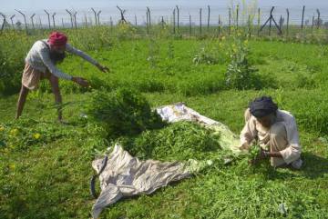 Un muro que aísla a los migrantes de Macedonia y Grecia