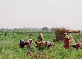 “Siempre esperamos a que la gente empiece a morir”
