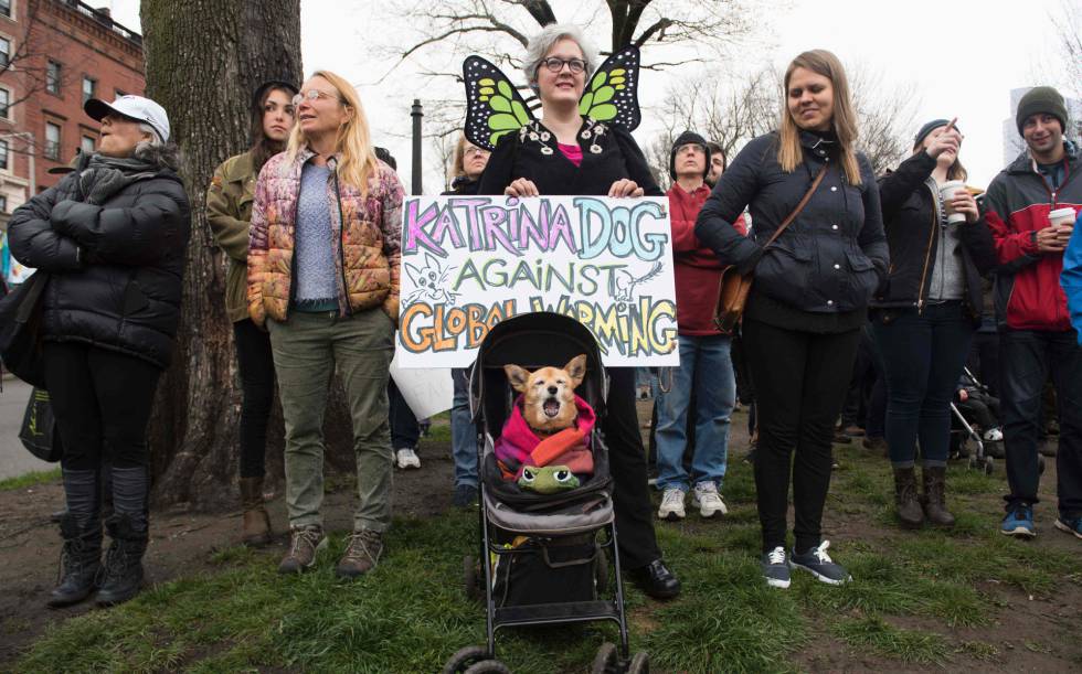 FOTOGALERÍA | Consulta los carteles más representativos en el día de la Marcha a favor de la Ciencia.