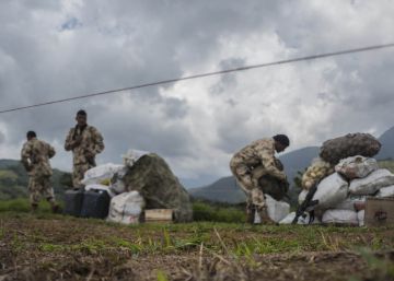 Colombia y las FARC se dan dos meses más para la aplicación de los acuerdos Colombia y las FARC se dan dos meses más para la aplicación de los acuerdos