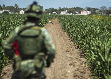 Se entrega a la DEA el Mini Lic, uno de los ahijados de El Chapo Se entrega a la DEA el Mini Lic, uno de los ahijados de El Chapo
