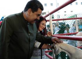 Cócteles de excrementos, la nueva arma de la oposición al chavismo