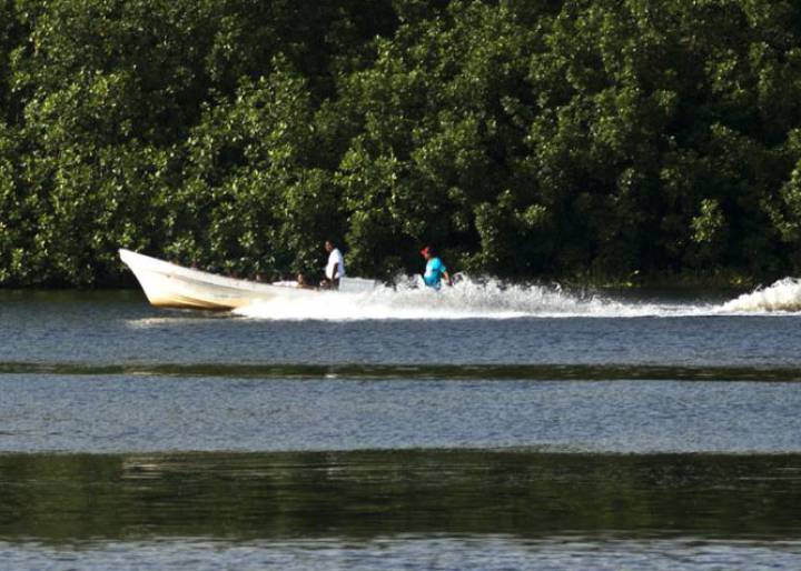 La nueva Bestia viaja por el mar La nueva Bestia viaja por el mar