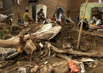 Las lluvias dejan más de 24.000 casos de dengue en una región de Perú Las lluvias dejan más de 24.000 casos de dengue en una región de Perú