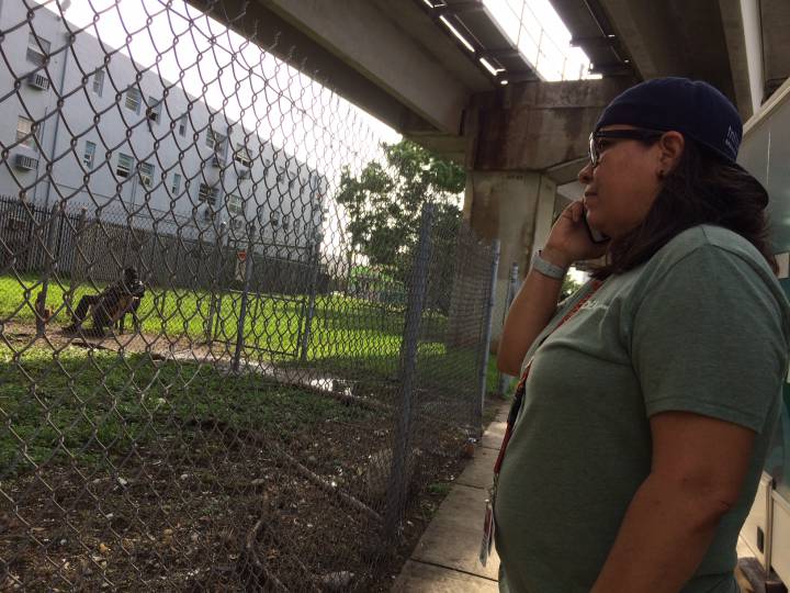 Emelina Martínez, coordinadora de una ONG de atención a adictos, en Overtown (Miami).
