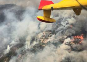 Una rosa sobrevive en Nodeirinho