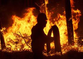 Una rosa sobrevive en Nodeirinho