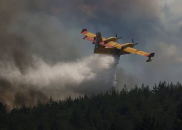 Crecen las dudas sobre la gestión del incendio de Portugal