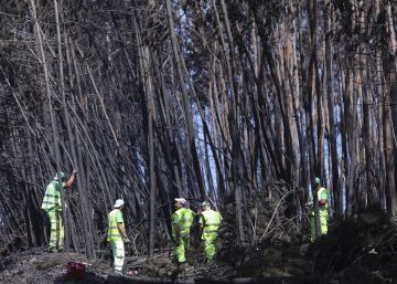Portugal consegue extinguir os incêndios