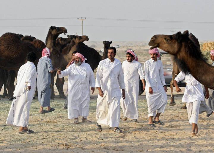 ¿Está deportando Arabia Saudí a las cabras y camellos de Qatar? ¿Está deportando Arabia Saudí a las cabras y camellos de Qatar?