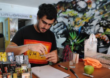 Uruguai revoluciona a política de drogas mundial com a venda de maconha em farmácias
