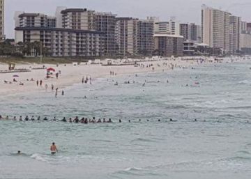 Una cadena humana salva de morir ahogada a una familia en una playa de Florida Una cadena humana salva de morir ahogada a una familia en una playa de Florida