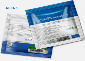 Uruguay empieza a vender marihuana estatal en farmacias Uruguay empieza a vender marihuana estatal en farmacias
