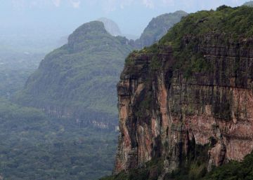 El mayor parque natural de Colombia es declarado libre de cultivos de coca El mayor parque natural de Colombia es declarado libre de cultivos de coca