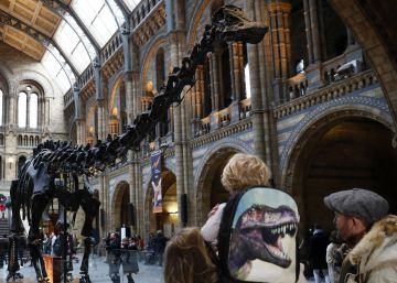 Un niño británico de 10 años corrige al Museo de Historia Natural de Londres