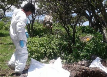 Encontrados 14 cuerpos en una fosa clandestina en el norte de México Encontrados 14 cuerpos en una fosa clandestina en el norte de México